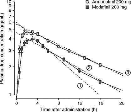 Conceptual graph showing the duration of Modafinil's effects over a 12+ hour period