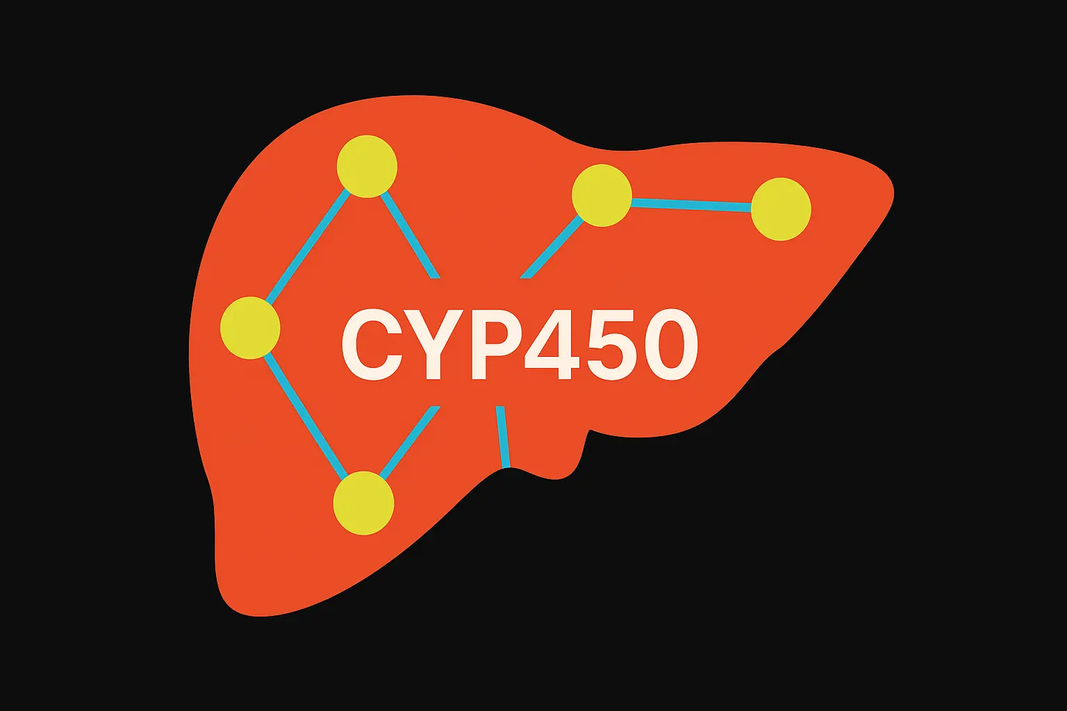 Stylized representation of liver with CYP450 enzymes