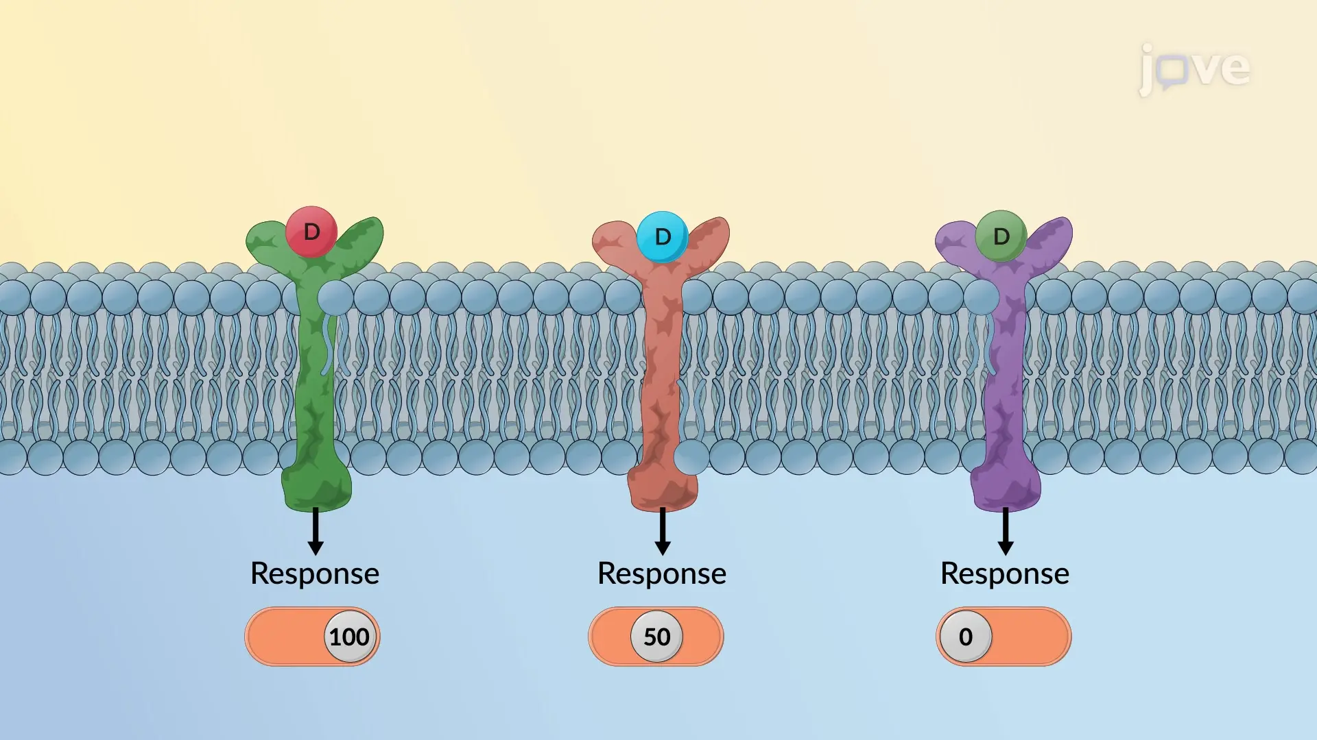 Abstract illustration of drug molecules interacting with cell receptors